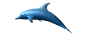 dolphin_wte.gif (7284 bytes)
